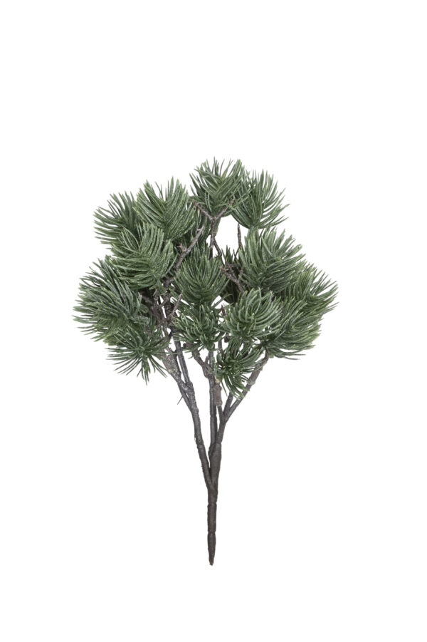 Kiefernbusch H21cm / grün