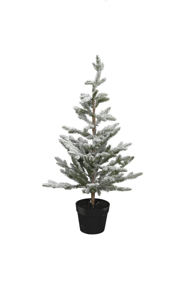 Tanne im Topf / D45xH80cm / grün beschneit