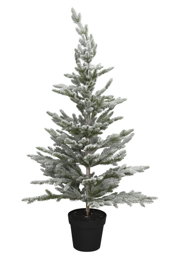 Tanne im Topf / D60xH120cm / grün beschneit